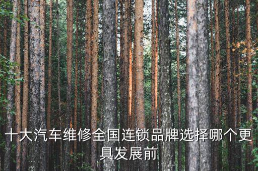 十大汽车维修全国连锁品牌选择哪个更具发展前