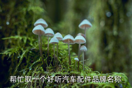 帮忙取一个好听汽车配件品牌名称