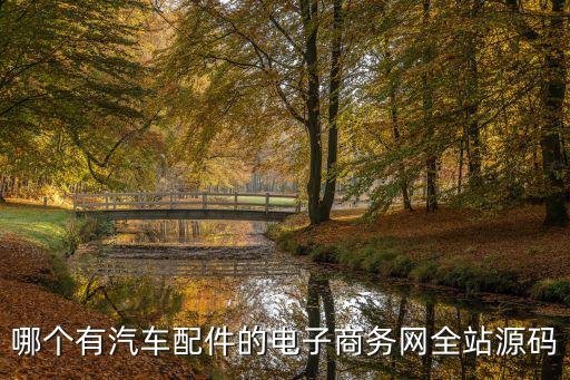 哪个有汽车配件的电子商务网全站源码
