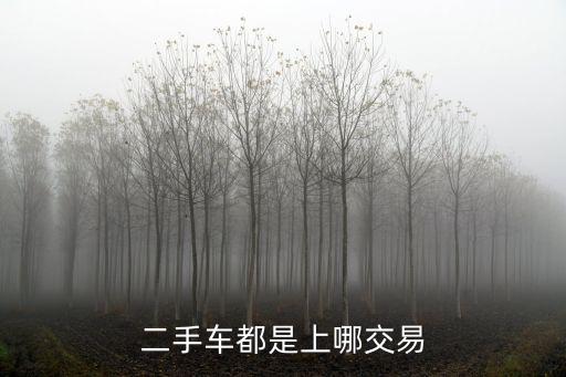 二手车平台交易市场，二手车交易市场