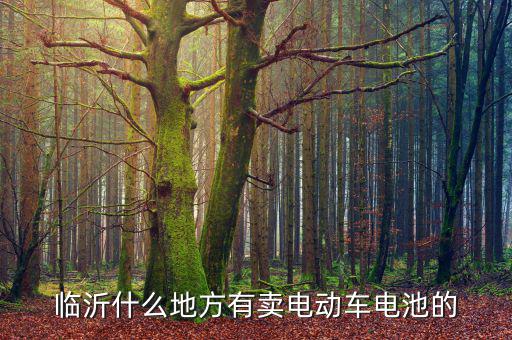 临沂汽车电瓶，临沂什么地方有卖电动车电池的