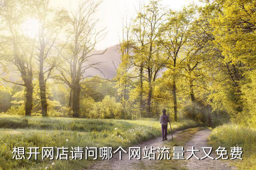 想开网店请问哪个网站流量大又免费