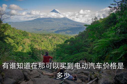 有谁知道在那可以买到电动汽车价格是多少
