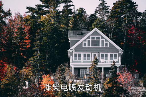 潍柴电喷发动机