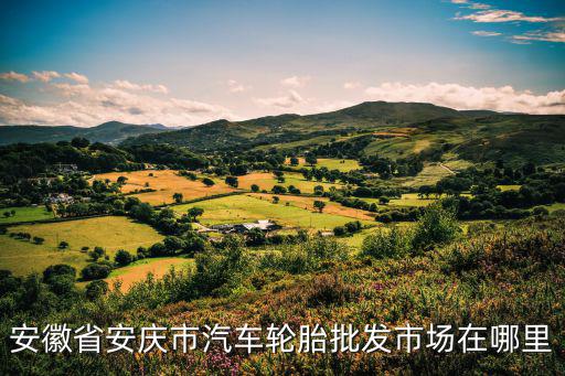 附近轮胎批发市场地址，东莞二手轮胎批发市场详细地址