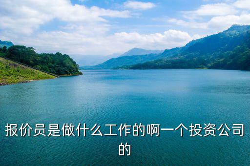 报价员是做什么工作的啊一个投资公司的