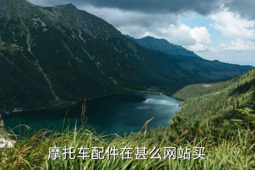 摩托车配件在甚么网站买
