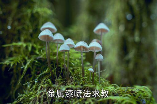 金属漆喷法求教