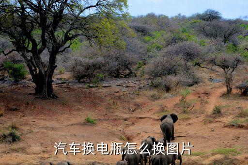 汽车换电瓶怎么换图片