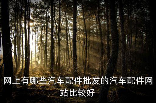 网上有哪些汽车配件批发的汽车配件网站比较好