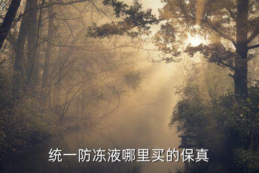 统一防冻液哪里买的保真