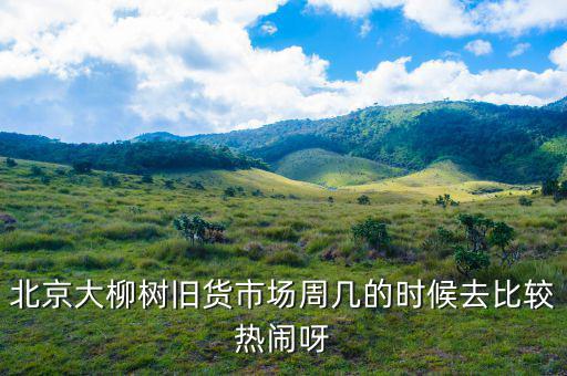 北京大柳树旧货市场周几的时候去比较热闹呀