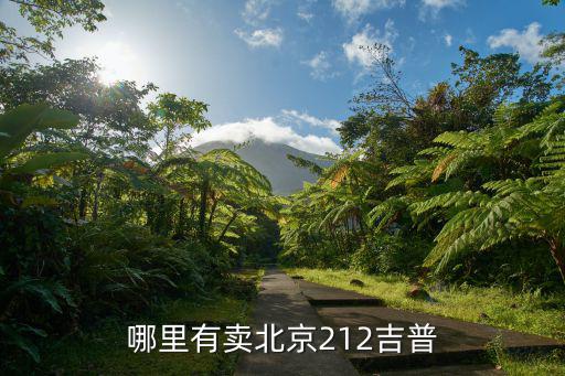 哪里有卖北京212吉普