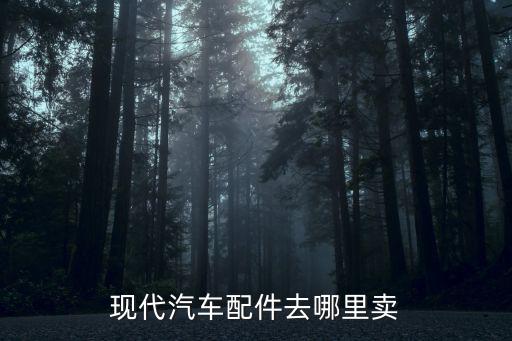 现代汽车配件批发市场在哪里，襄阳鑫飞越现代汽配在哪里