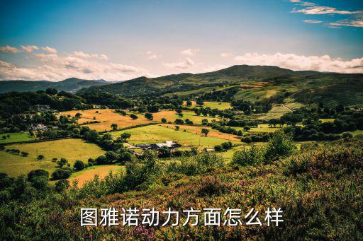 图雅诺动力方面怎么样