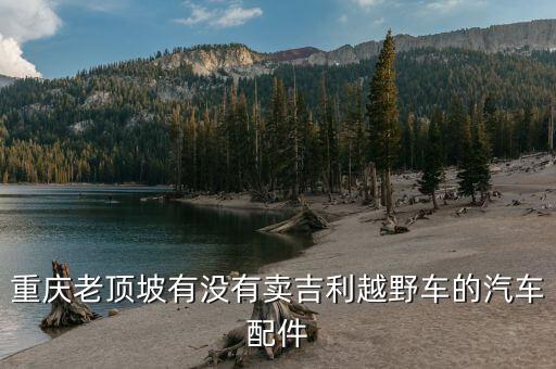 重庆老顶坡有没有卖吉利越野车的汽车配件