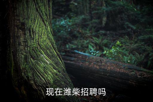 现在潍柴招聘吗