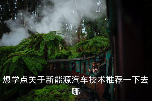 新能源技术培训学校，想学点关于新能源汽车技术推荐一下去哪