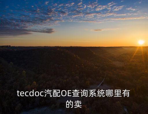 tecdoc中国汽配目录，tecdoc汽配OE查询系统哪里有的卖