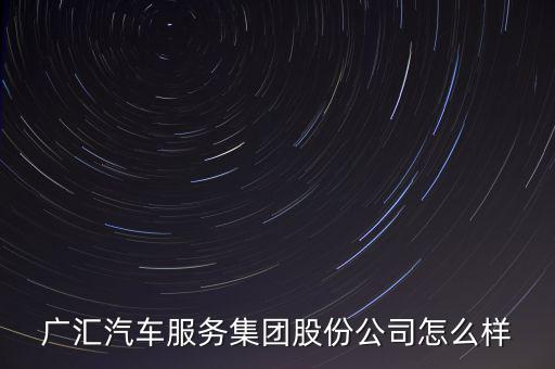 汽车服务集团股份有限公司，广汇汽车服务集团股份公司怎么样
