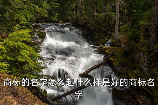 商标的名字怎么起什么样是好的商标名字