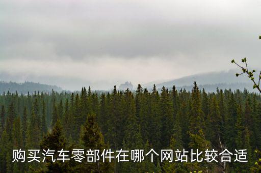 购买汽车零部件在哪个网站比较合适