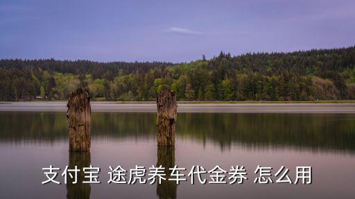 支付宝 途虎养车代金券 怎么用