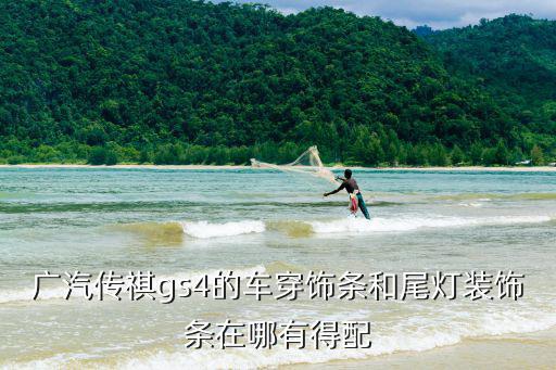 广汽传祺gs4的车穿饰条和尾灯装饰条在哪有得配