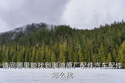 奥迪配件查询，请问哪里能找到奥迪原厂配件汽车配件怎么找