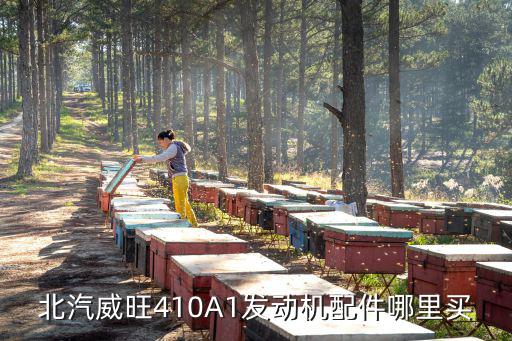 北汽威旺410A1发动机配件哪里买