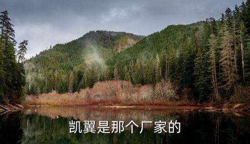 凯翼是那个厂家的