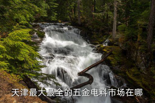 天津最大最全的五金电料市场在哪