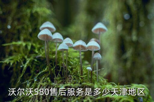 沃尔沃S80售后服务是多少天津地区