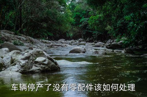 汽车停产买不到配件怎么办，车停产后配件怎么办