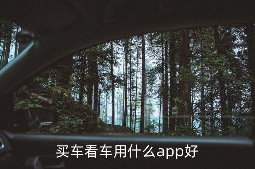 买车看车用什么app好