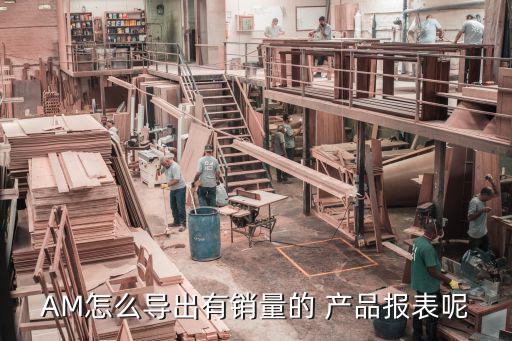 AM怎么导出有销量的 产品报表呢