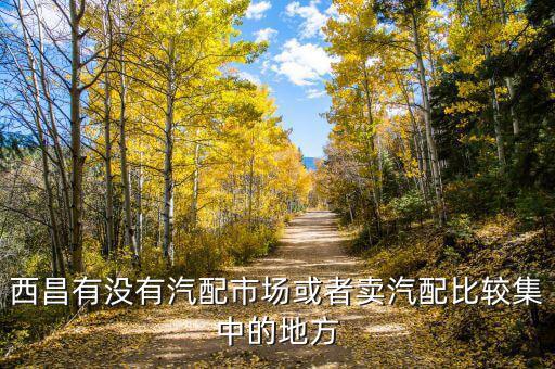 西昌有没有汽配市场或者卖汽配比较集中的地方