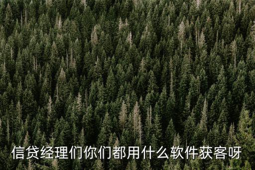 信贷经理们你们都用什么软件获客呀
