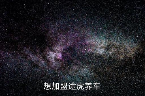 想加盟途虎养车