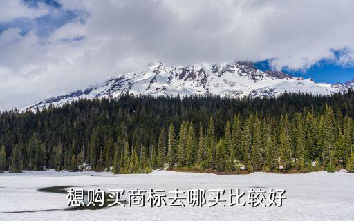 想购买商标去哪买比较好