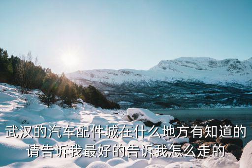 武汉的汽车配件城在什么地方有知道的请告诉我最好的告诉我怎么走的