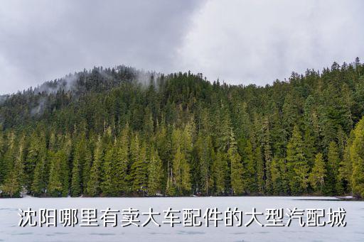 沈阳哪里有卖大车配件的大型汽配城