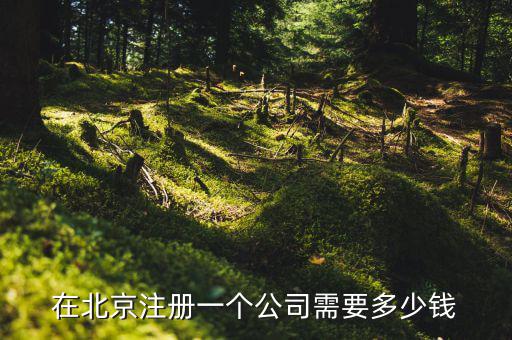 在北京注册一个公司需要多少钱