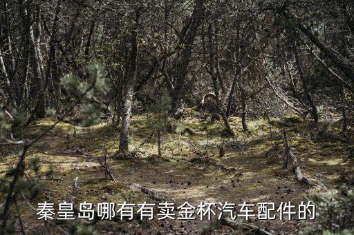 秦皇岛哪有有卖金杯汽车配件的