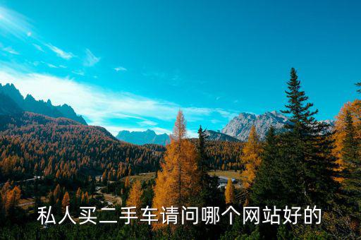 私人买二手车请问哪个网站好的