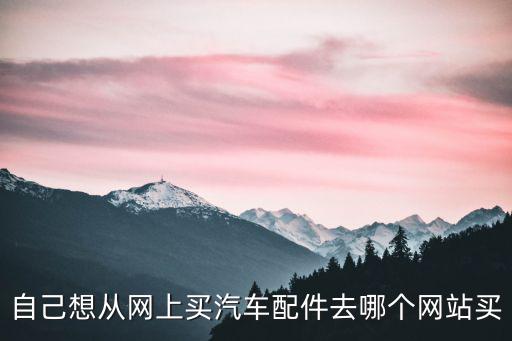 自己想从网上买汽车配件去哪个网站买