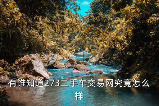 有谁知道273二手车交易网究竟怎么样
