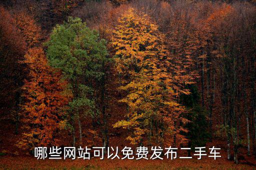 哪些网站可以免费发布二手车