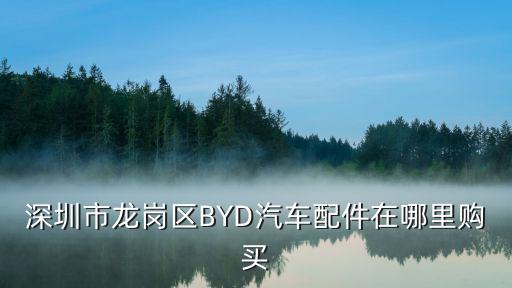 深圳市龙岗区BYD汽车配件在哪里购买