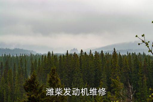 潍柴发动机维修